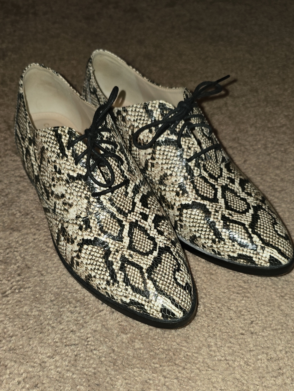cole haan women's snake-print lace-up loafers